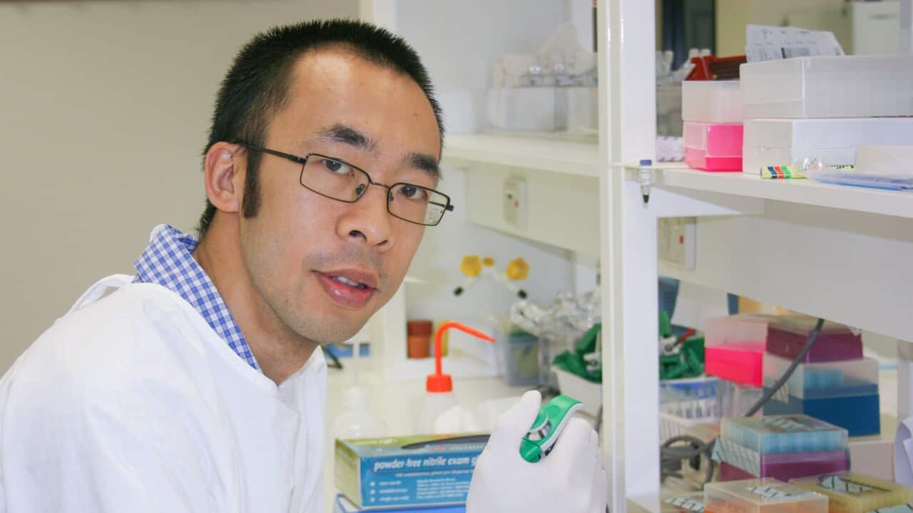 Prof Steven Tong-Lab.jpg