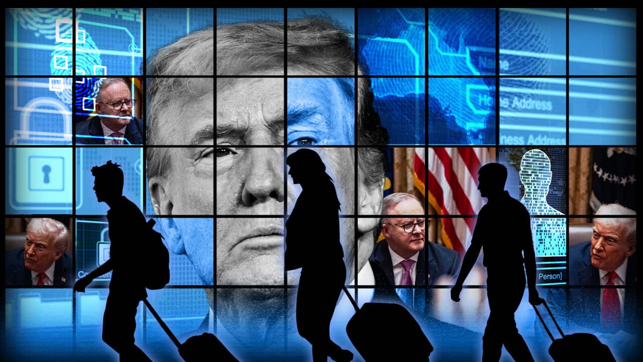 A composite image of Donald Trump's face over blue digital security graphics, with silhouetted travellers pulling suitcases in the foreground.