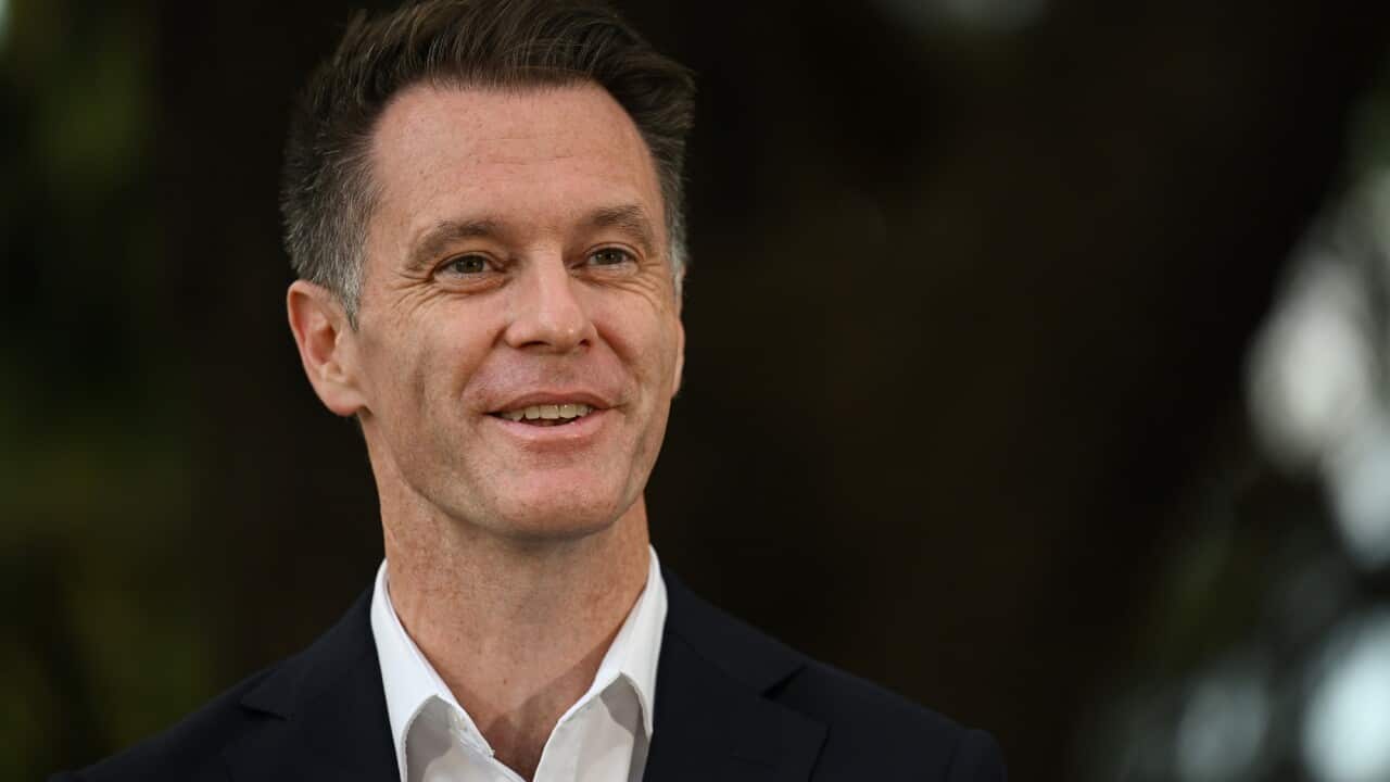 Chris Minns headshot.