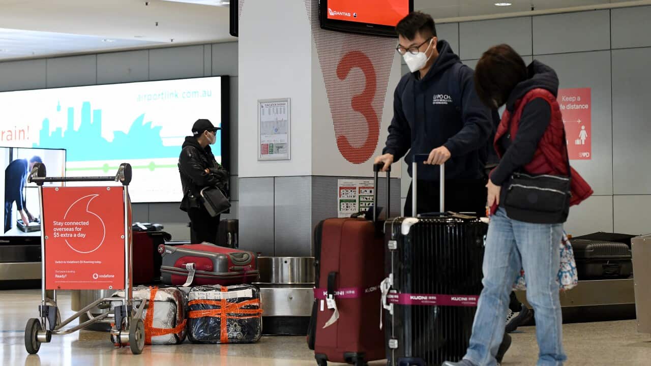 Airfryer, artwork and a hedge trimmer: Lost items ready to take flight at airport auction Airfryer, artwork and a hedge trimmer: Lost items ready to take flight at airport auction