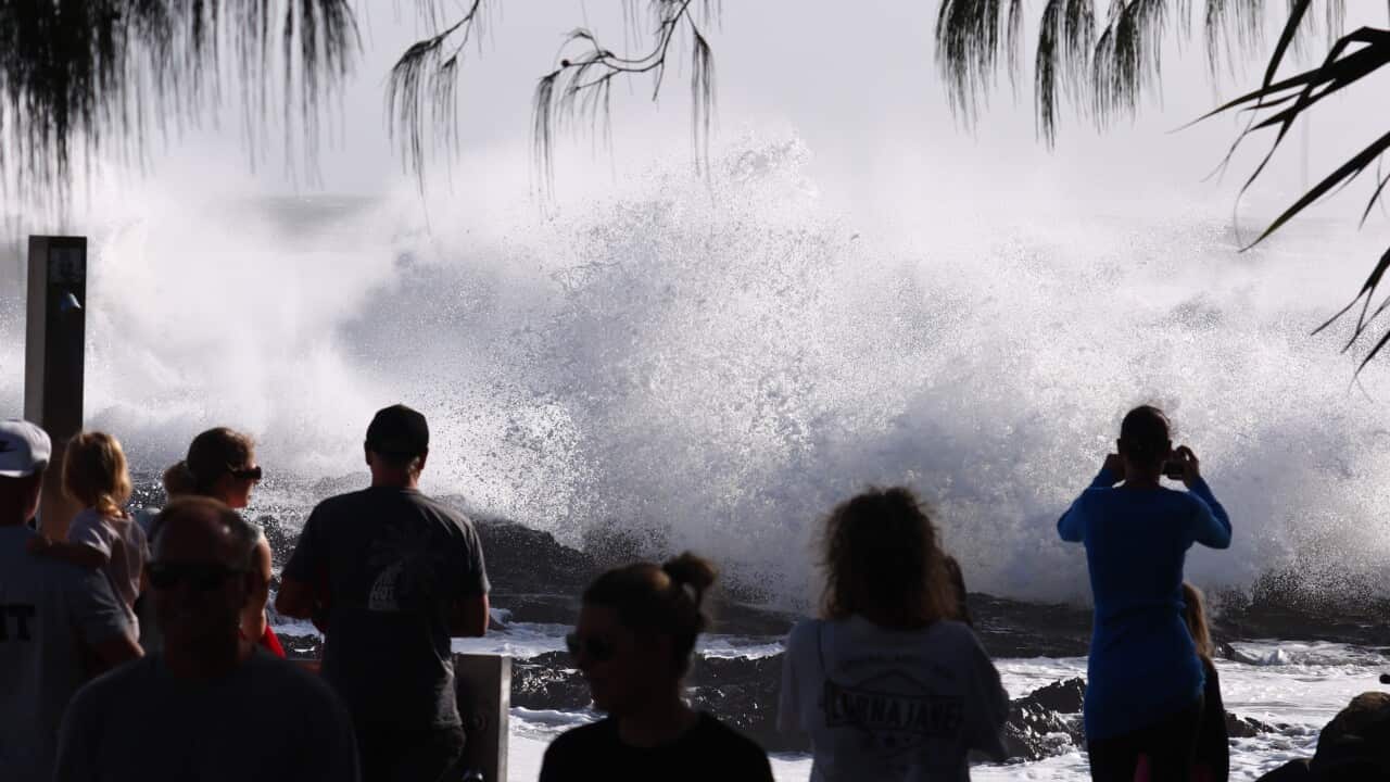 Image for read more article 'READ MORE'