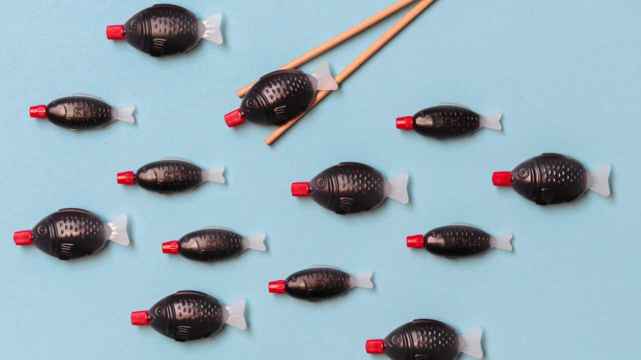 Soy Sauce Sushi Fish Plastic Containers for take away delivery food
