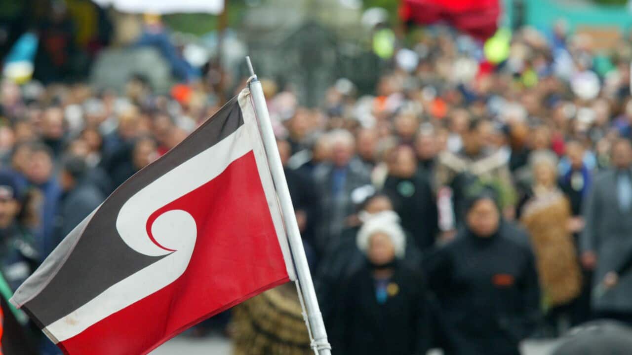 Image for read more article 'READ MORE'