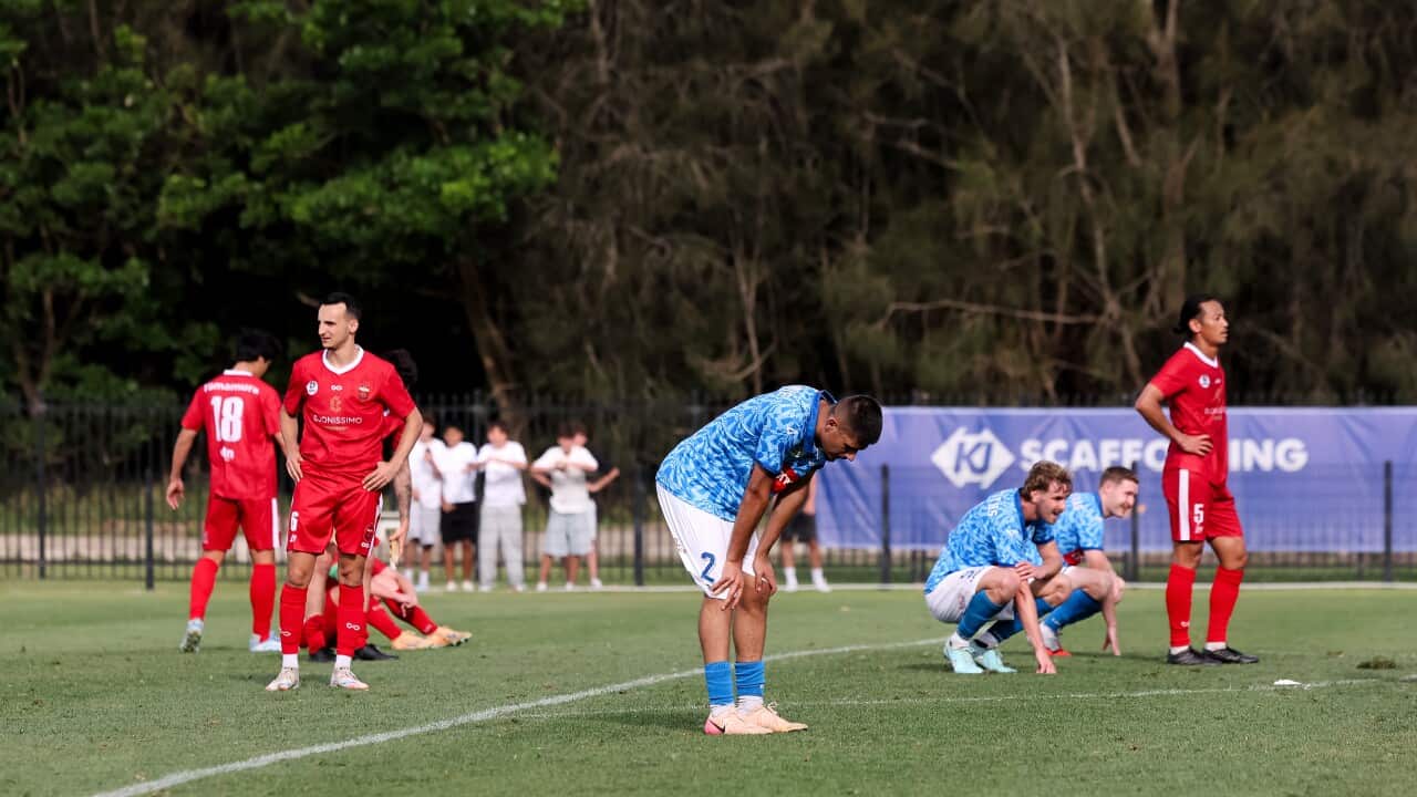 Nov 15: Australian Championship Wollongong Wolves FC and Marconi Stallions FC