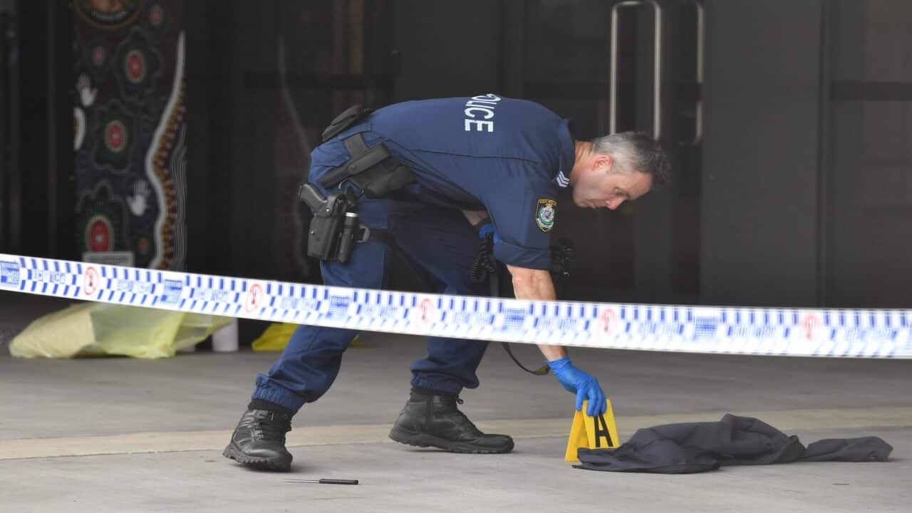 NSW Police look at a small knife at the scene of a stabbing at Arthur Phillip High School in Parramatta, Sydney, Monday, 23 November 23, 2020.