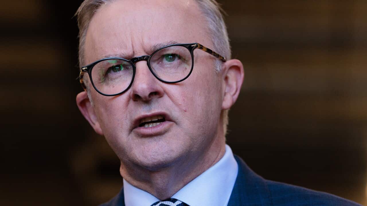Federal opposition leader Anthony Albanese