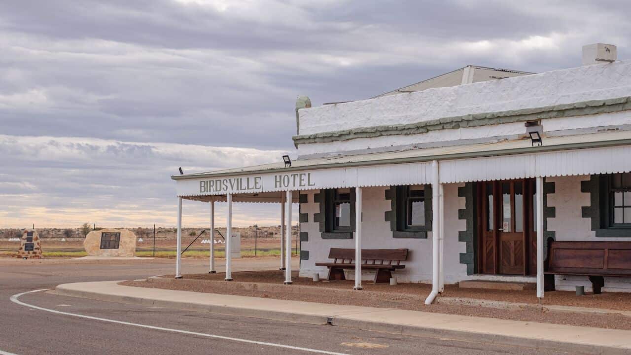Birdsville.jpeg