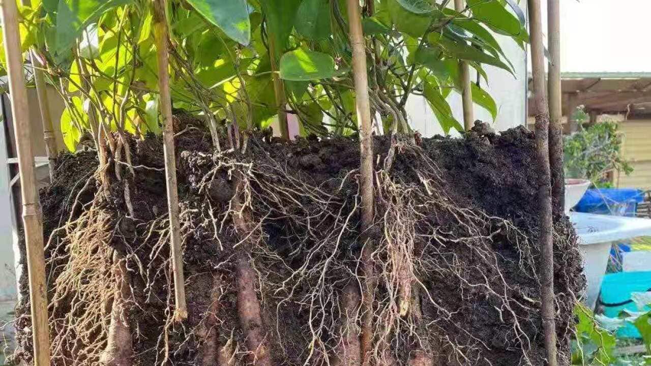 Image for read more article ''