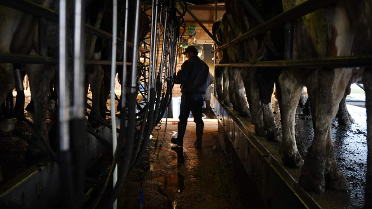 Dairy farmer Colin Godden