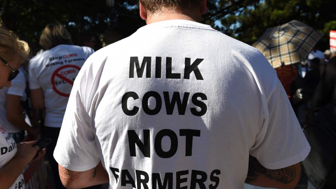 A gathering of protesters against cuts to milk prices