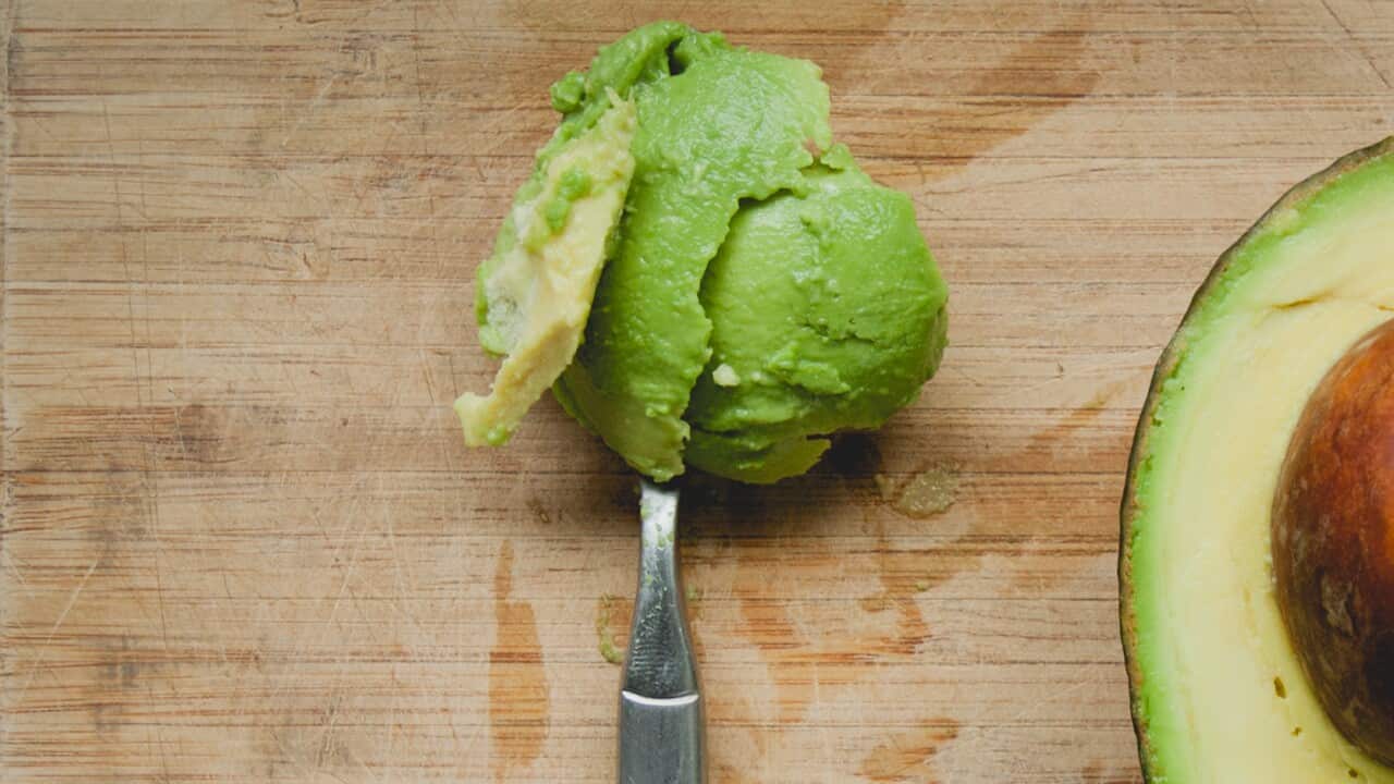 Avocado
