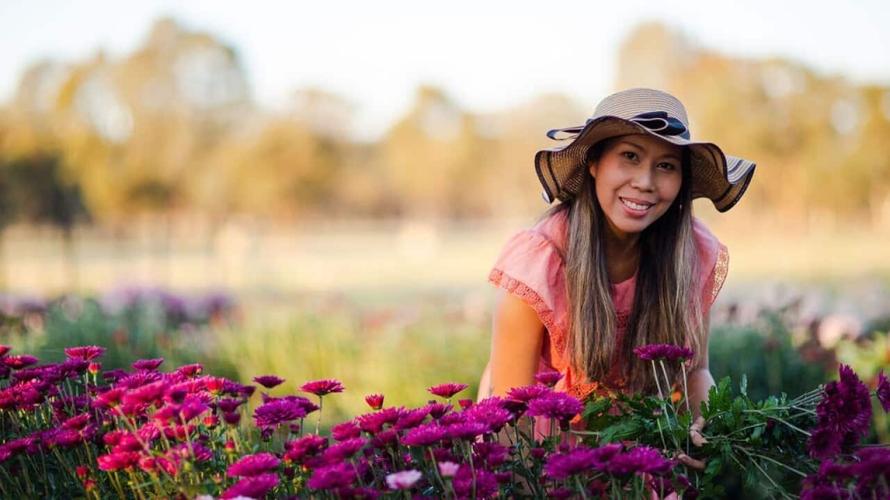 Pure Maiden Flower Farm Belinda Jordaan 3.jpg