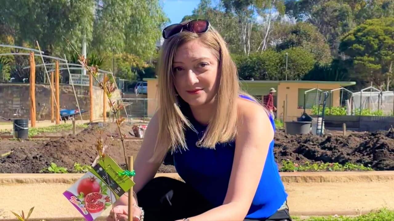 Marta in the Sydney garden (SBS-Sanda Fulloon).jpg