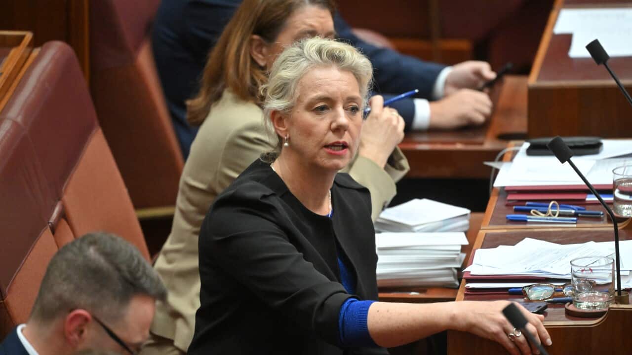 SENATE QUESTION TIME