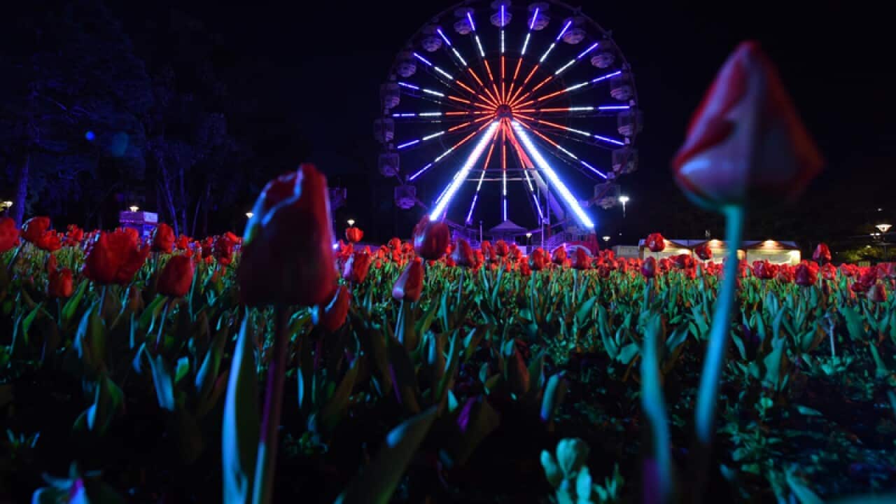 Floriade NightFest 2016