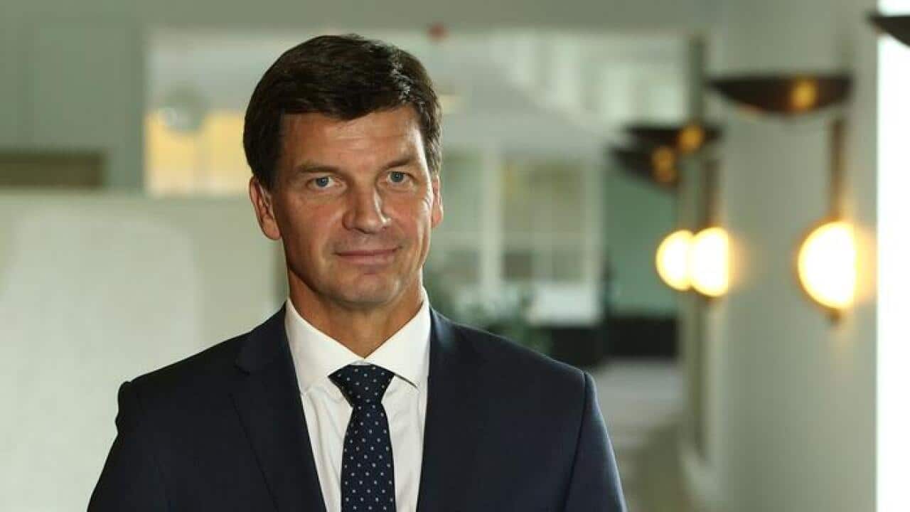 Mr Angus Taylor New Energy Minister