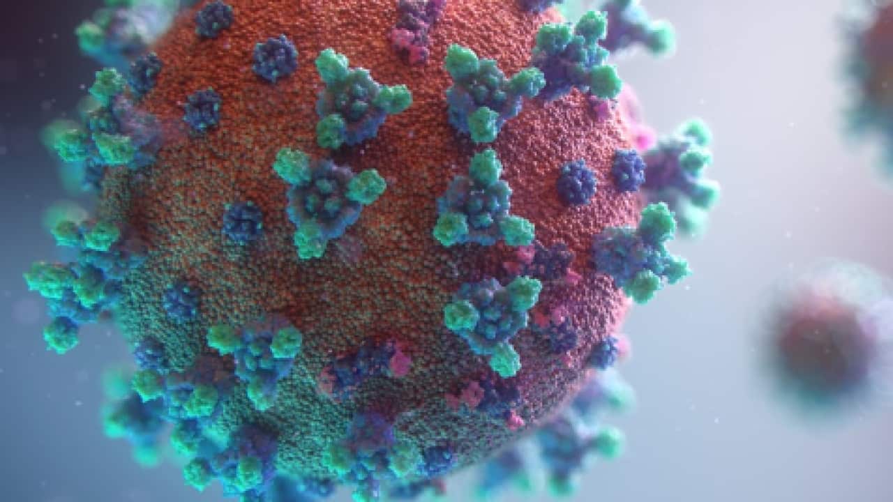 Image for read more article ''