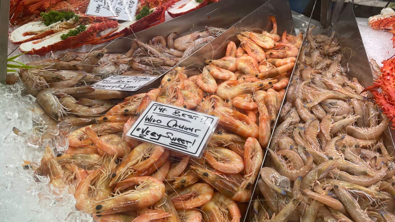 Prawns.jpeg