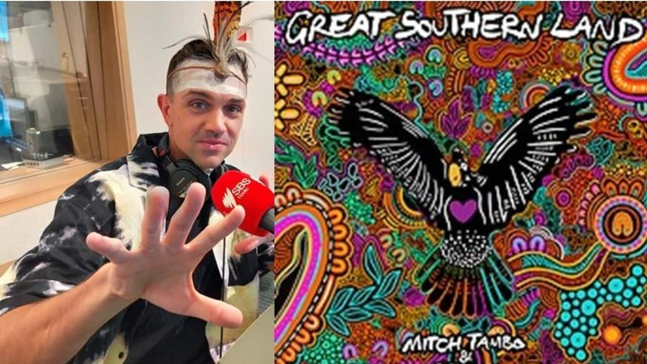 Mitch Tambo v2.jpg