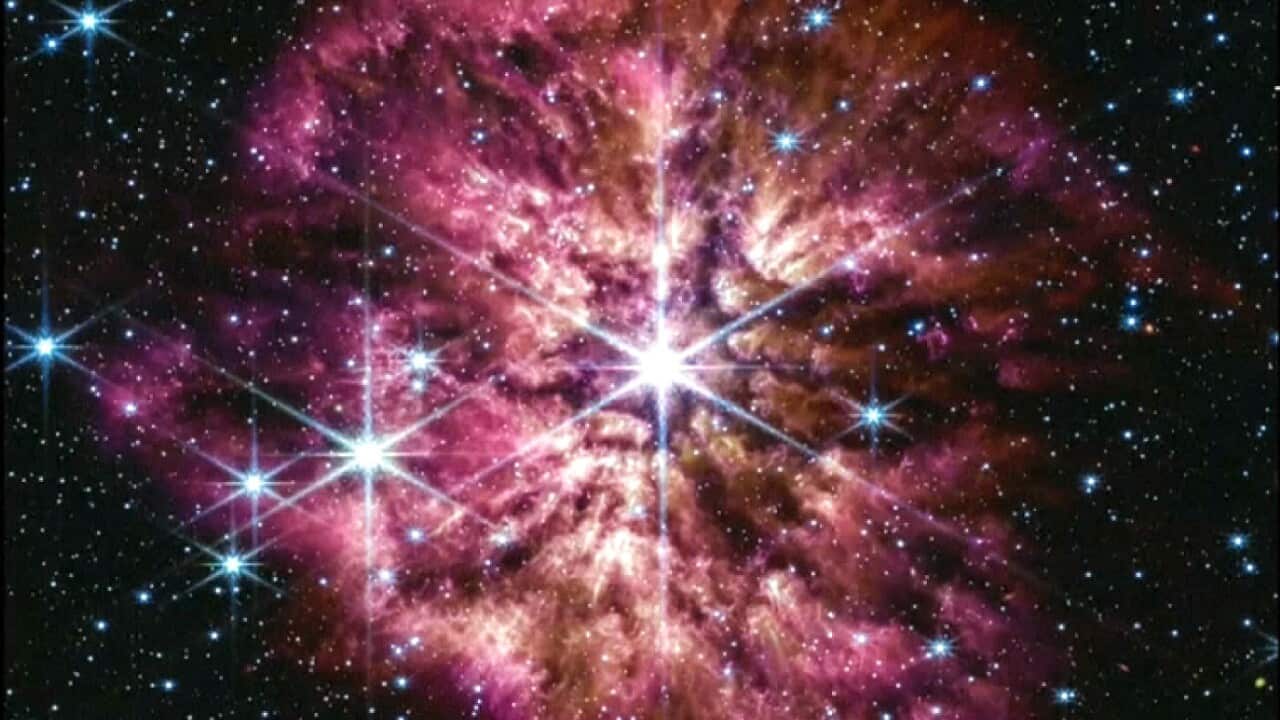 James Webb Telescope Up ends Astronomers Theories SBS News James webb telescope up ends astronomers theories sbs news