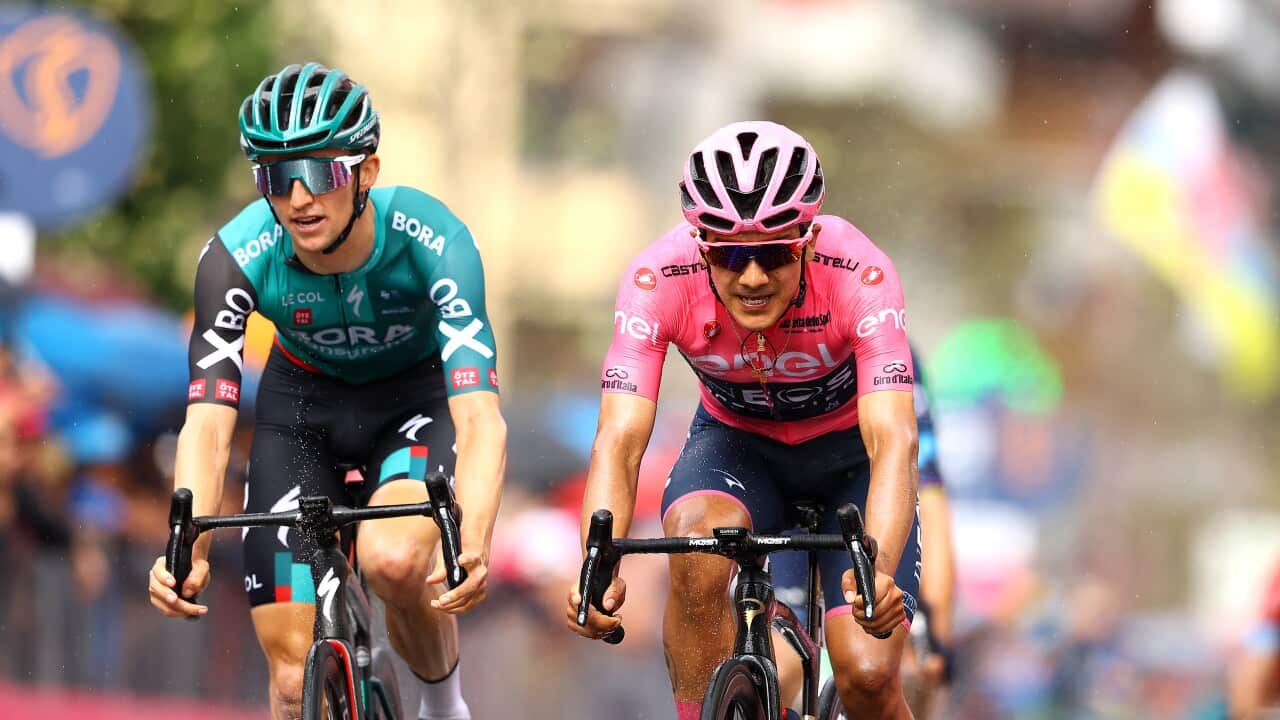 Image for read more article ''