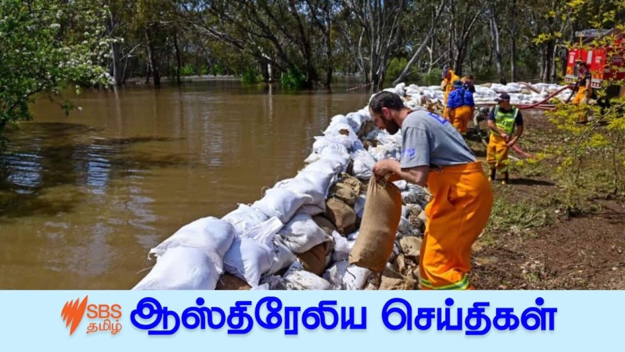 News 19 Oct.jpg