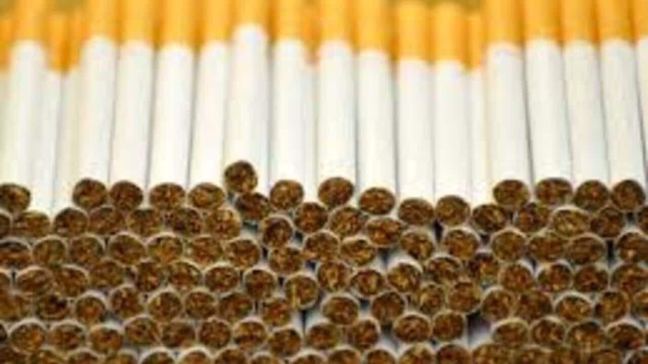 Tobacco