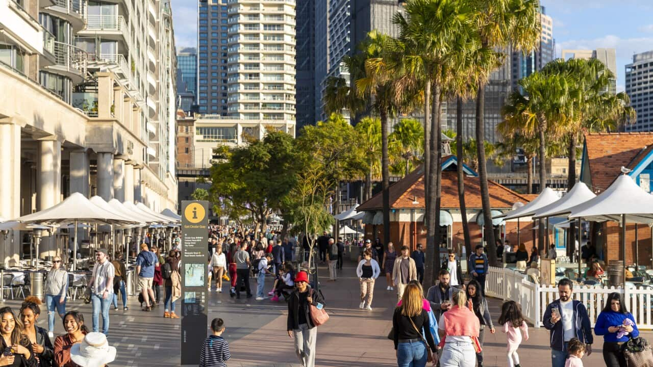 Circular Quay Sydney Crowd