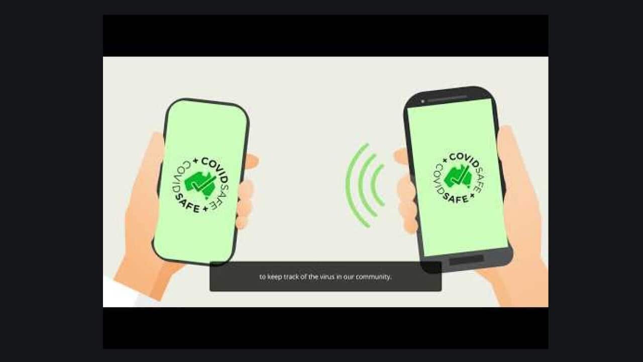 COVIDSafe 19 App