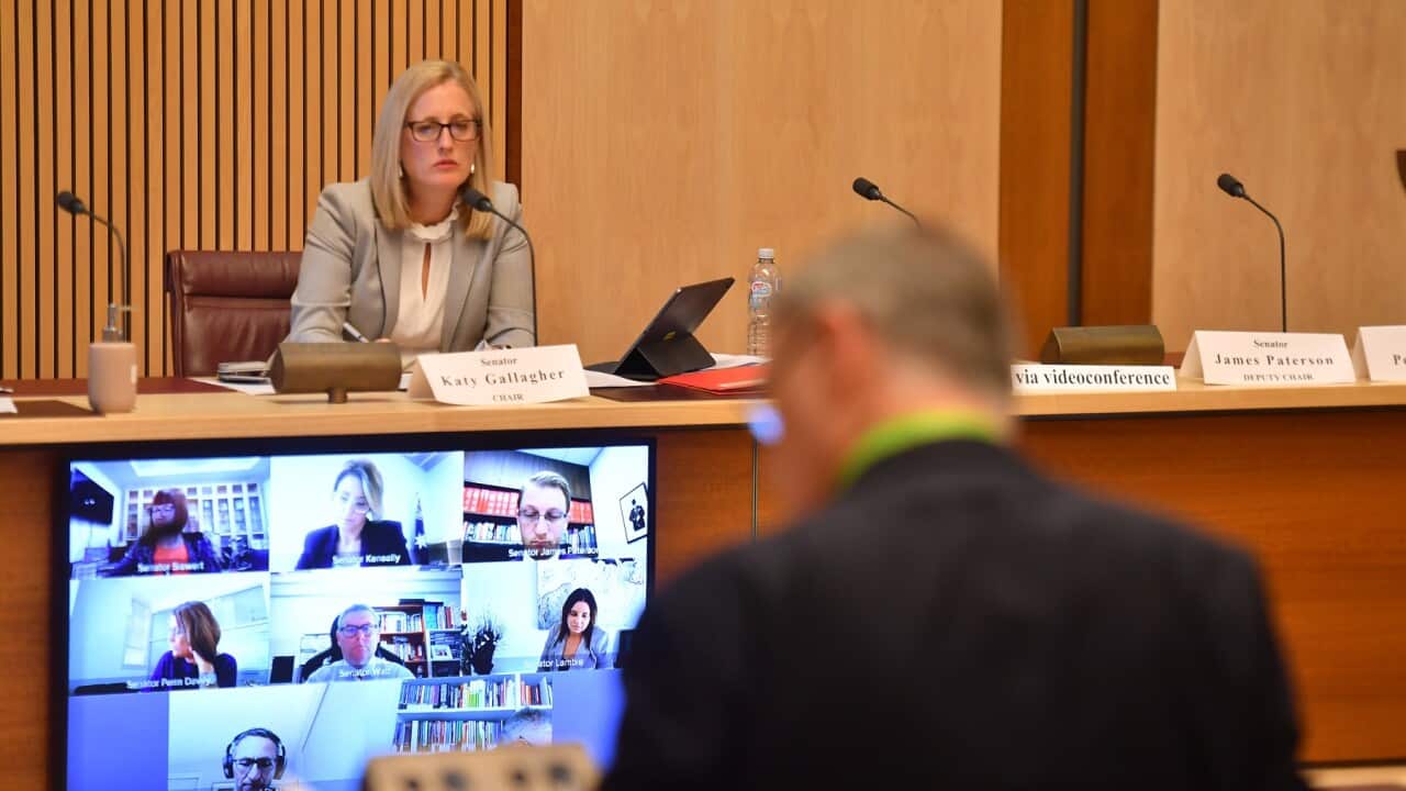 Shadow Minister for Finance Katy Gallagher questions Professor Brendan Murphy, as other senators watch on remotely