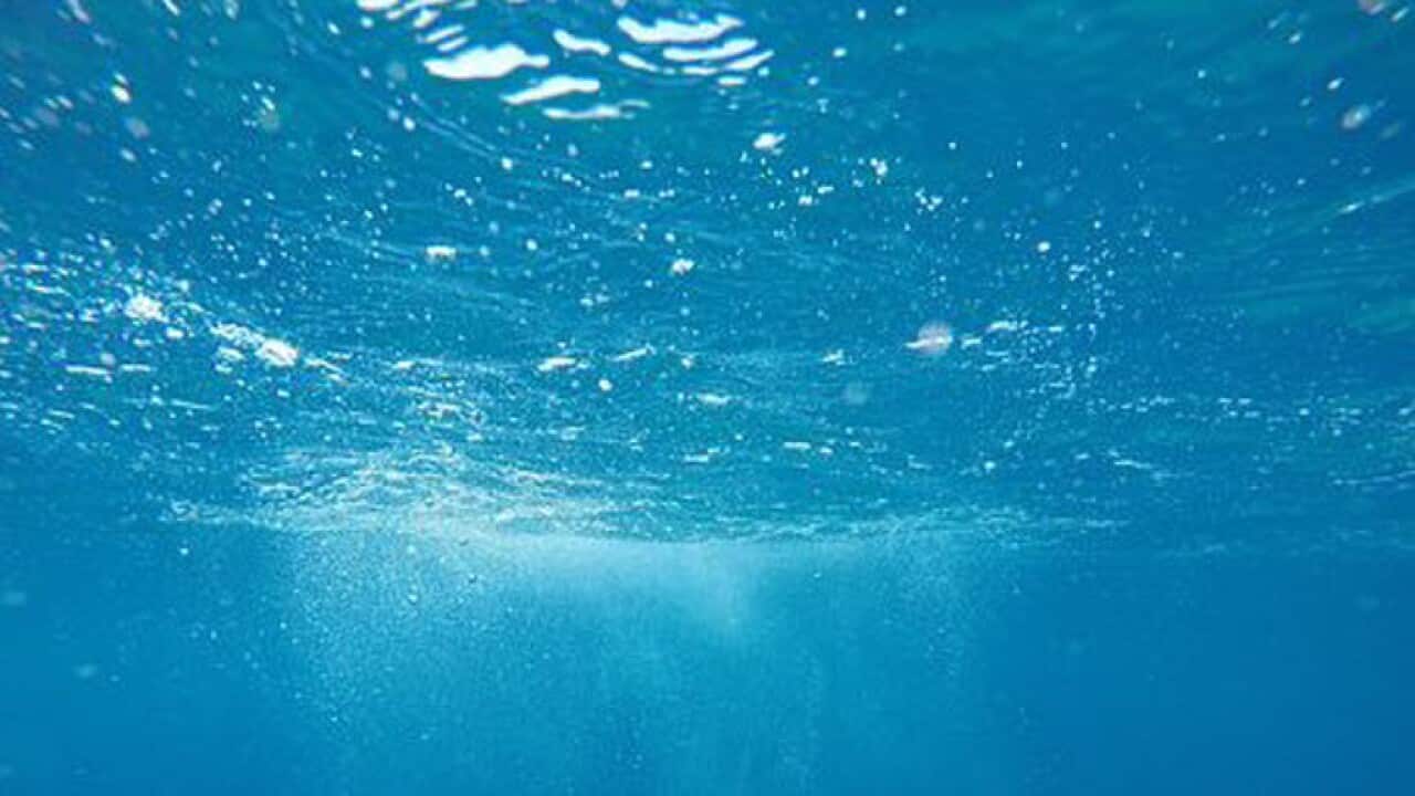 Pixabay (Public Domain)