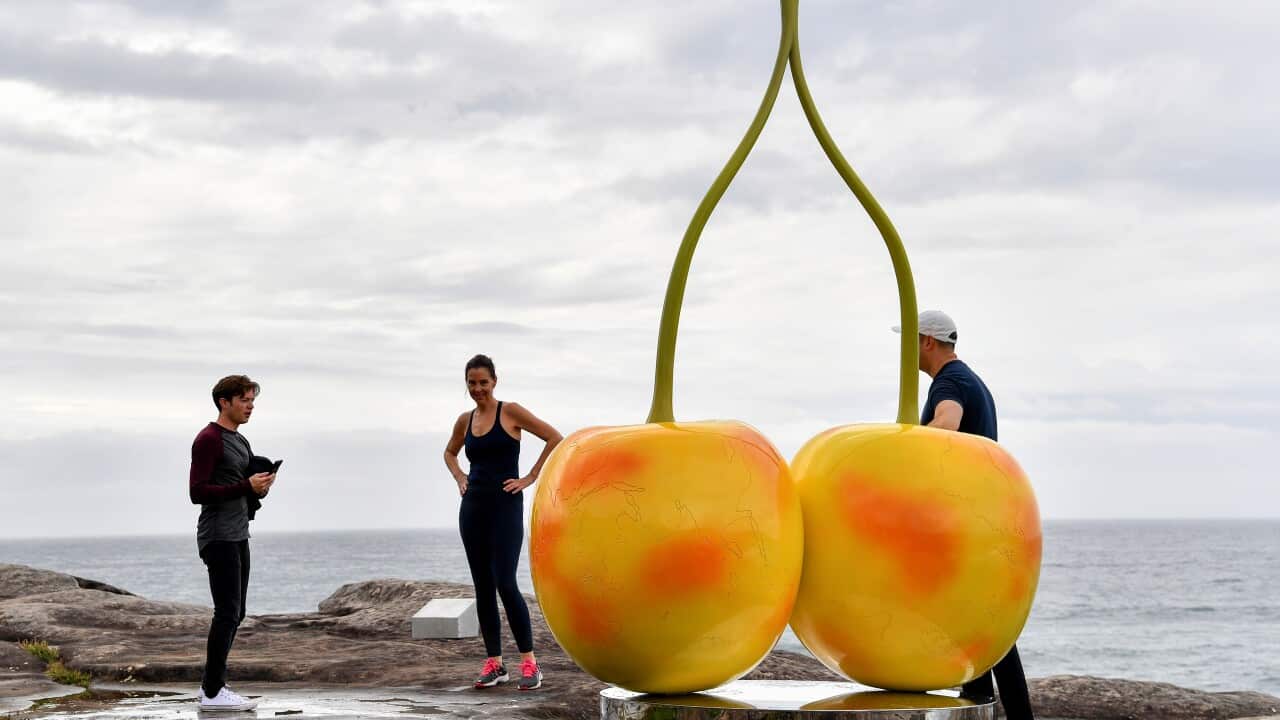 【停辦兩年】Bondi海邊雕塑展返嚟喇!