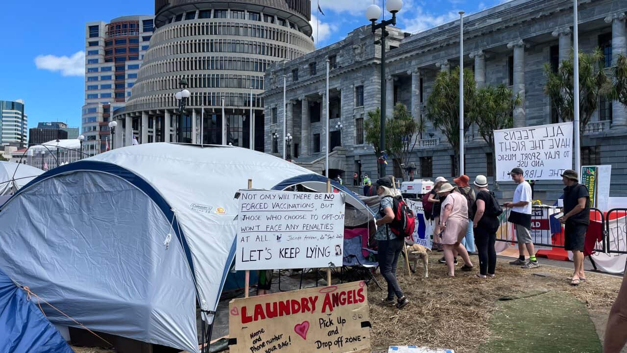 Image for read more article 'READ MORE'