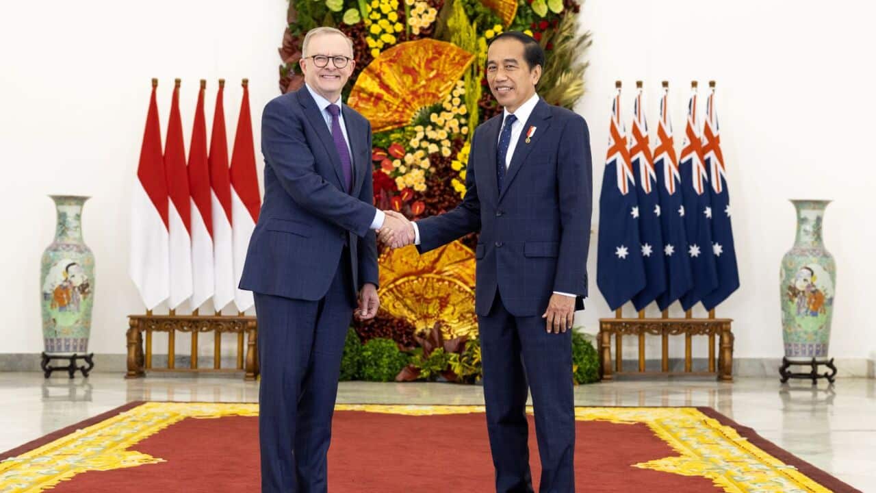 Image for read more article '更多內容'