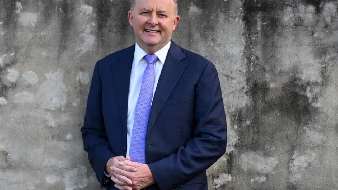 Labor leadership contender Anthony Albanese.