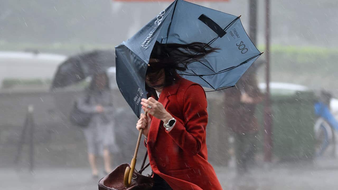 WET WEATHER SYDNEY