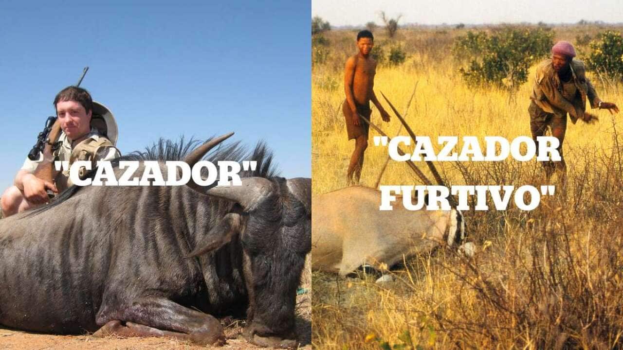 Cazador_vs_Cazador_Furtivo_article_column@2x.jpg