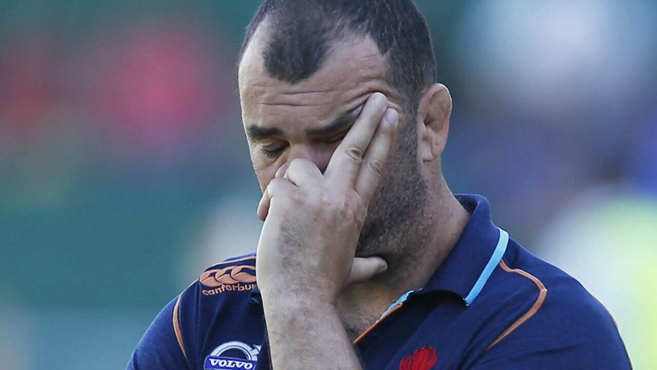 NSW coach Michael Cheika