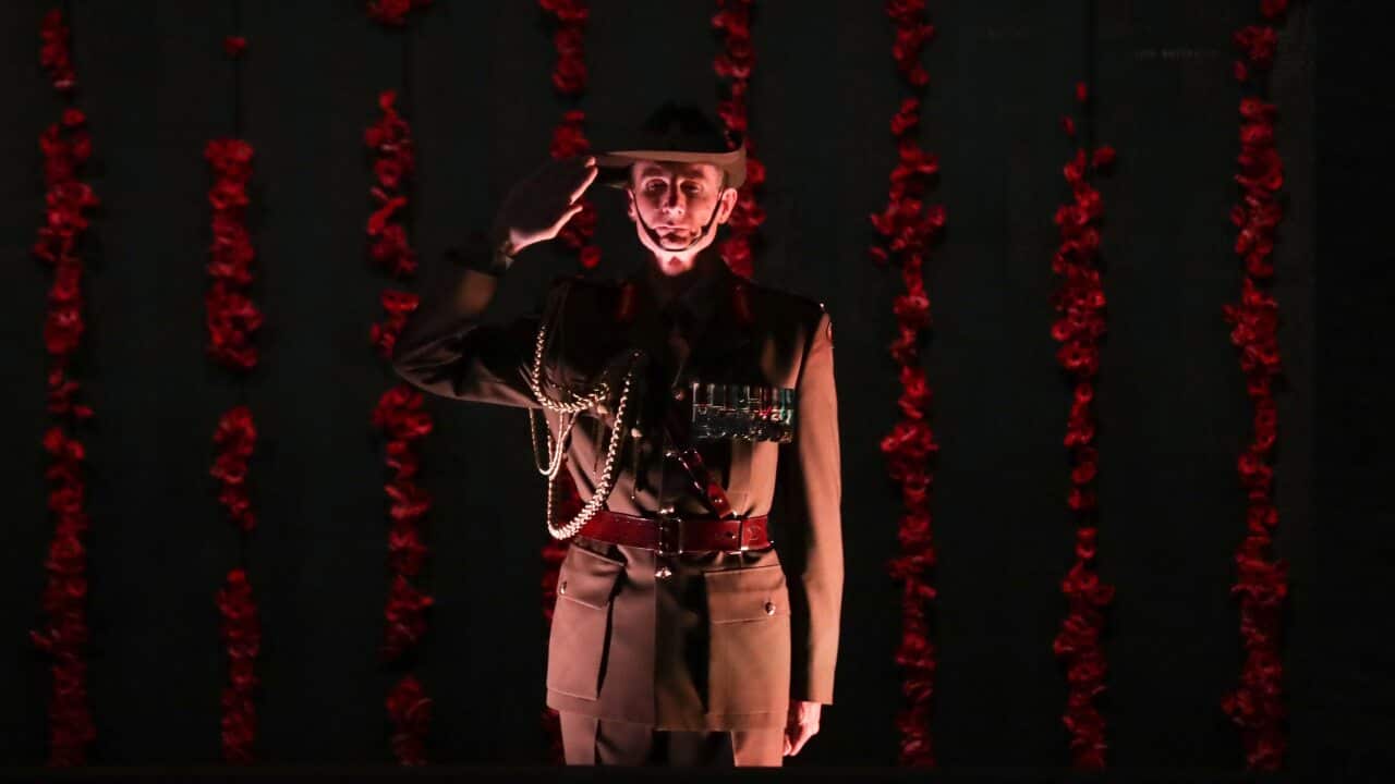 Australians have fallen silent to honour the nation's soldiers for Remembrance Day.