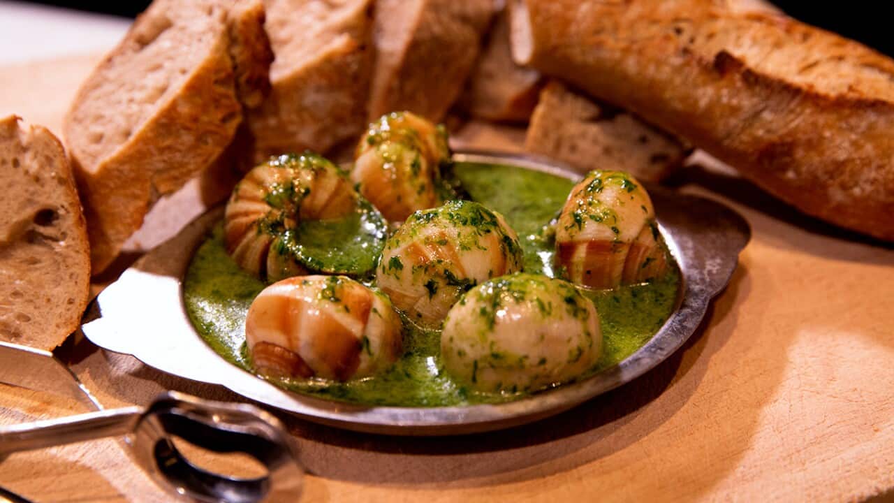 Burgundy snails (escargots de Bourgogne)