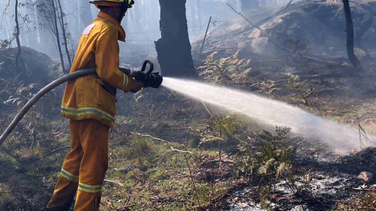 Image for read more article 'RELATED READING:'