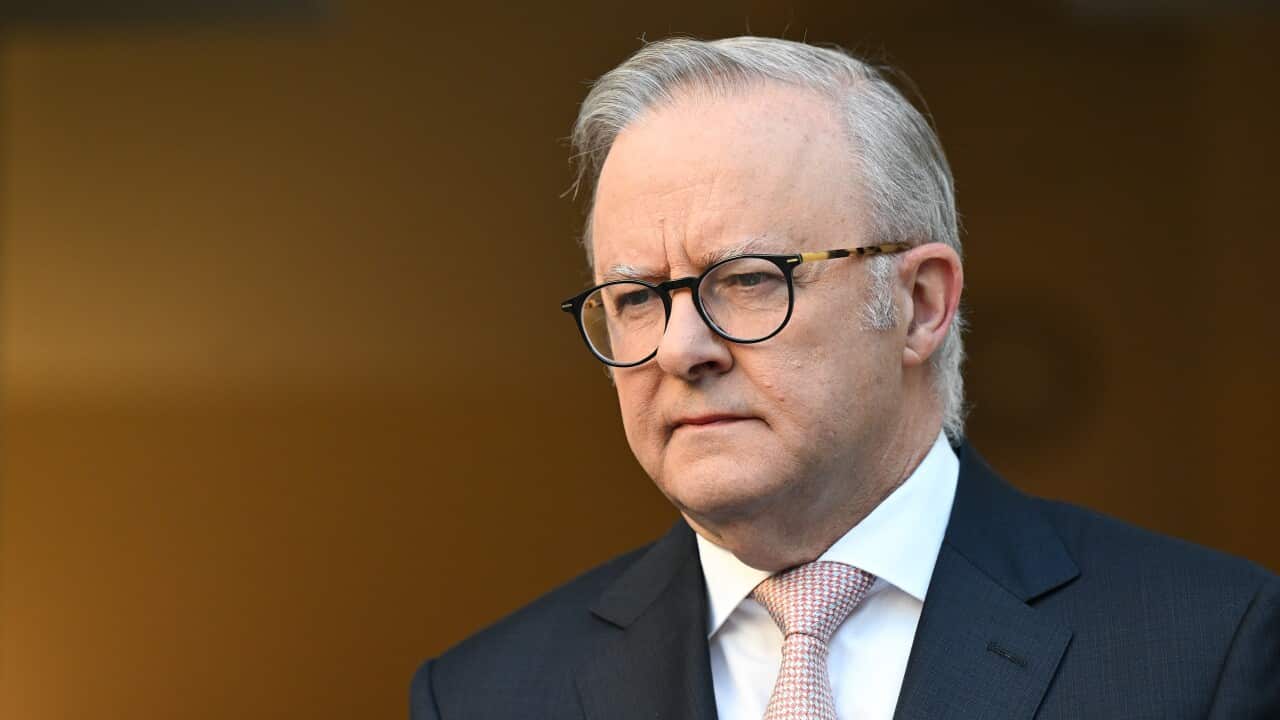 ANTHONY ALBANESE PRESSER