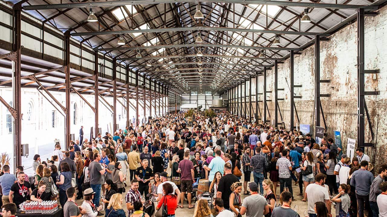 Pinot Palooza features over 70 producers and over 250 wines.