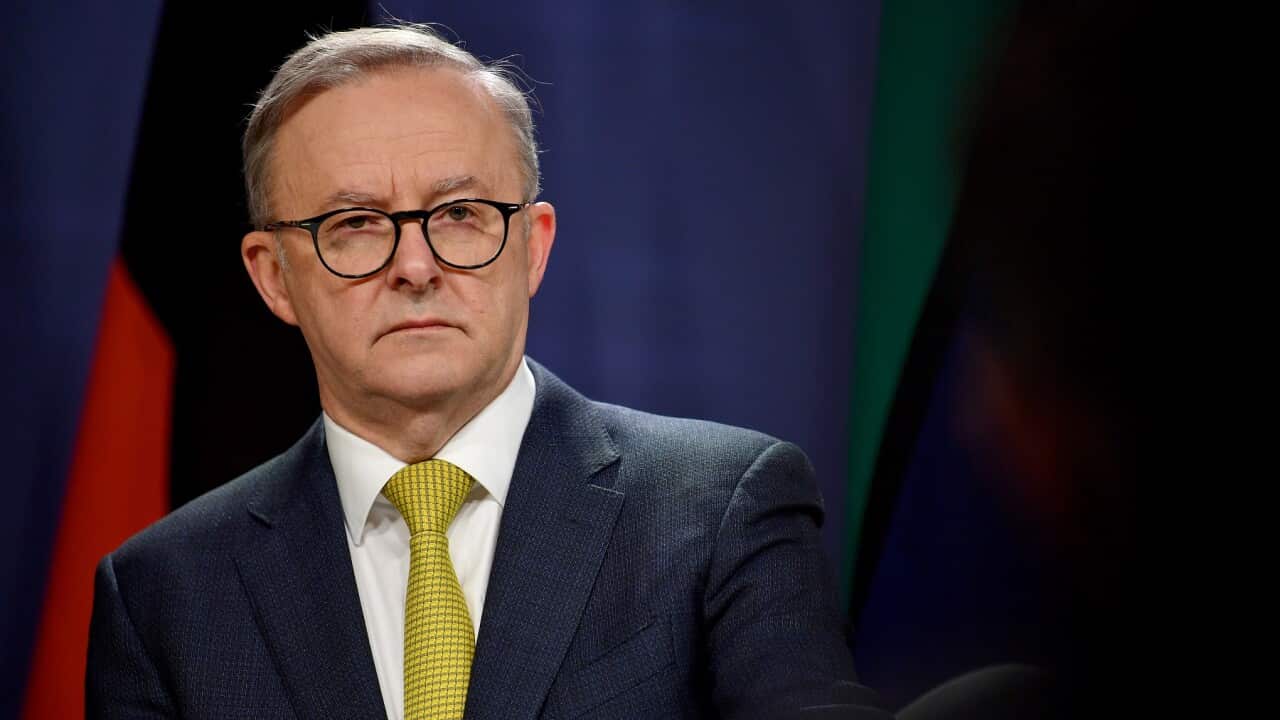 ANTHONY ALBANESE SYDNEY PRESSER