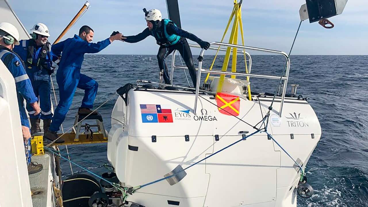 AAP Image/Nekton via AP