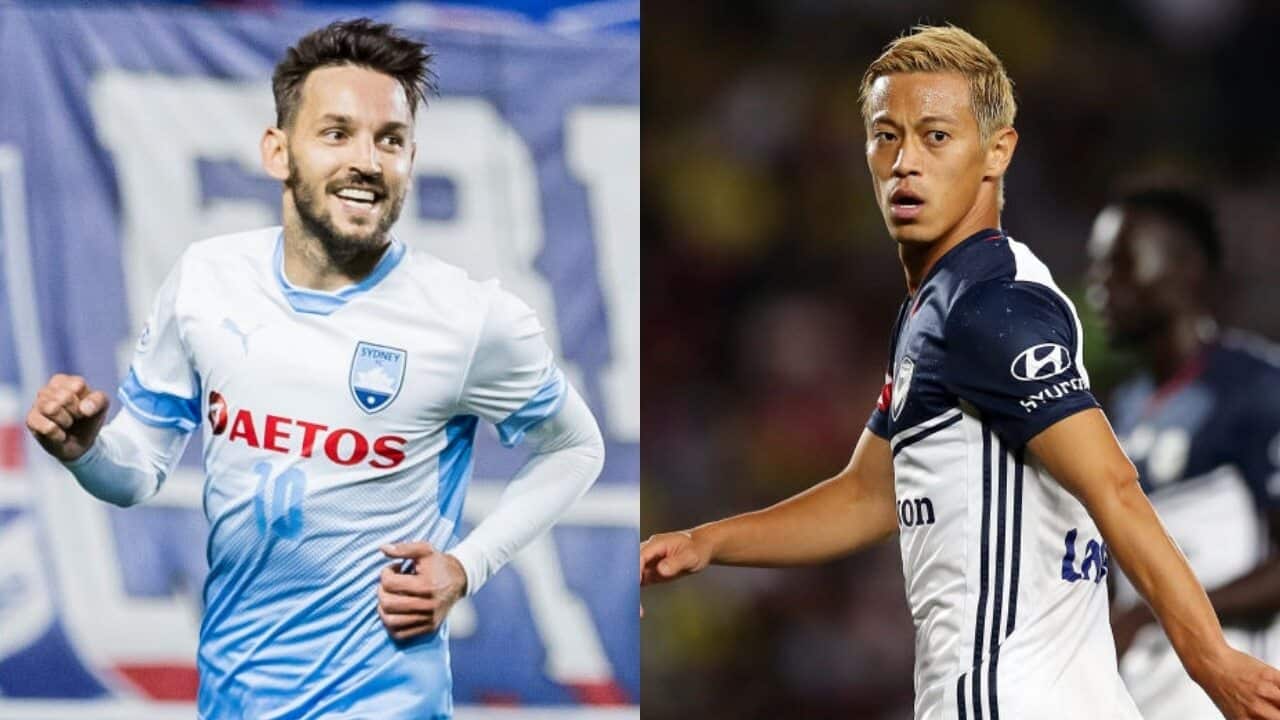 Ninkovic Honda