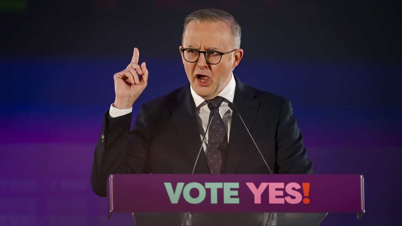 ANTHONY ALBANESE VOICE REFERENDUM ANNOUNCEMENT