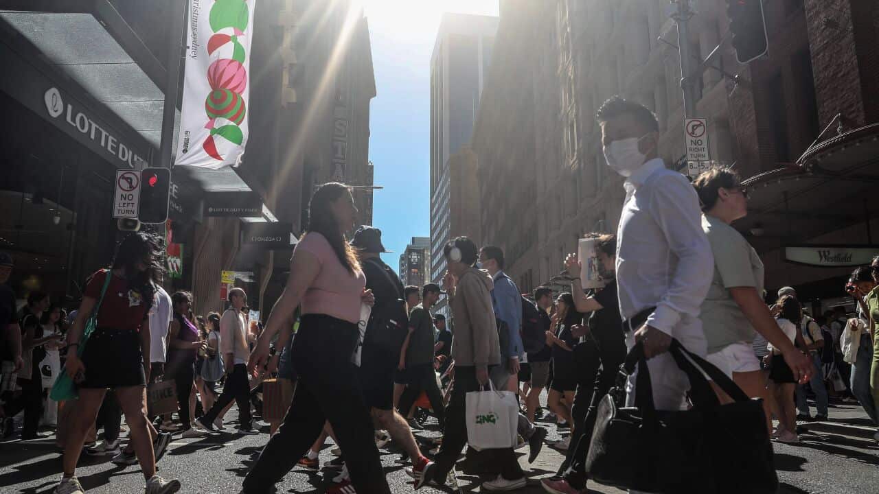 Boxing Day Sales Attract Shoppers
