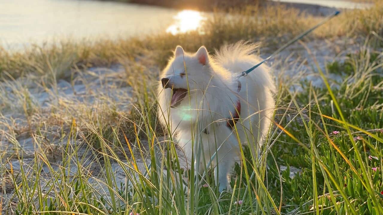 Image for read more article ''