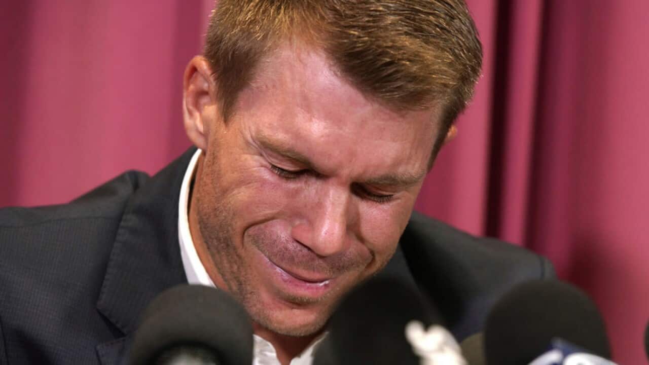 Former Australia national cricket team vice-captain David Warner.